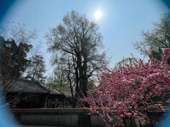 -潭柘寺景区