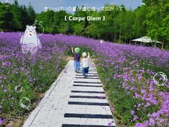 -同里国家湿地公园