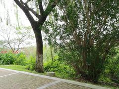 -太阳岛度假酒店