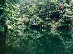 -罗田薄刀峰风景区
