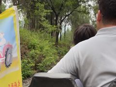 -八奇洞景区
