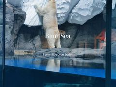 -海合安武汉极地海洋公园