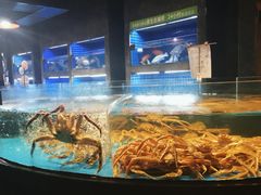 -徐记海鲜(梅溪新天地店)