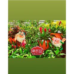 点击看大图 -iSpa