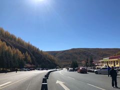 -塞罕坝国家级自然保护区