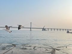 -星海广场