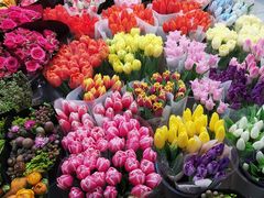 -双季花艺园艺市场(浦东店)