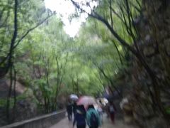 -北京上方山国家森林公园