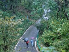 -老山国家森林公园