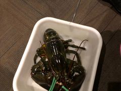 -鱼乐轩海鲜专门店