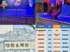 -芜湖新华联大白鲸海洋公园