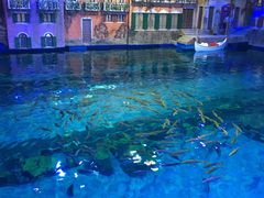 -华夏文旅海洋公园