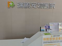 -瑞鹏宠物医院·骨外科·心肾科·肿瘤科(九亭店)