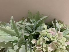 -Dragonfly悠庭·按摩Spa(静安嘉里中心店)