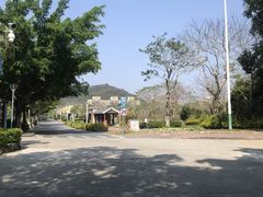 -风云岭森林公园