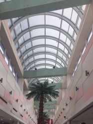 -复旦大学附属妇产科医院(杨浦院区)