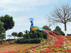 -东莞植物园