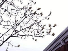 -华东政法大学(松江校区)