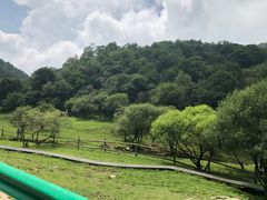 -大水川景区