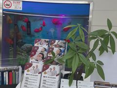 -雅悦齿科(顾村公园店)