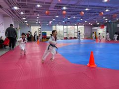 -陈中跆拳道(中关村馆)