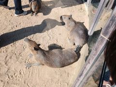 -茅山东方盐湖城景区