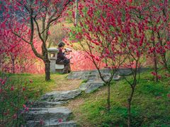 -桃花涧