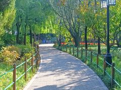 -月坛公园