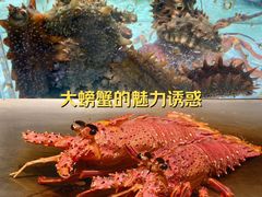 -平安金融中心云际观光层
