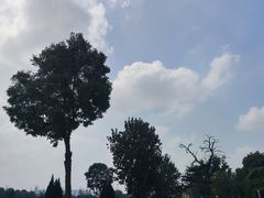 -汉长安城未央宫国家考古遗址公园