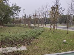 -武昌江滩