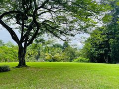 -中国科学院西双版纳热带植物园