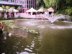 -大鹅岛绿色生态美食园