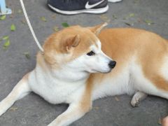 -289艺术PARK