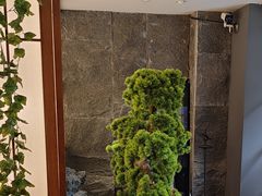 -桃夭日式料理(国信店)