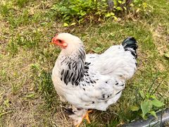 -水上乐园·欢乐世界