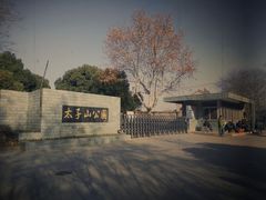 -太子山公园(园东路)