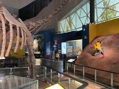 -湖南省地质博物馆