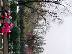 -南京财经大学(仙林校区)