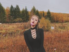 -乌兰布统草原