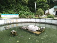 -太和古洞