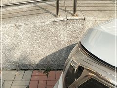 -乖乖宠物医院·猫科·急重症中心(车站北路分院)