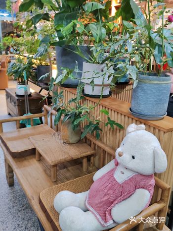 坐落在北京中路的花园餐厅，每个角落都布满花花草草进店