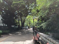 -九龙公园