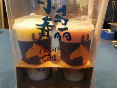 -春丽小马(济南恒隆广场店)