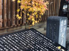 -城崎温泉 外七汤