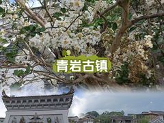 -青岩古镇