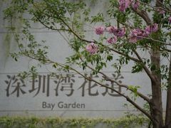 -深圳湾万象城(南山店)