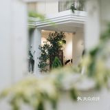 与植物生活在一起Ning's 
