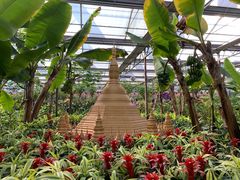 -南宫五洲植物乐园